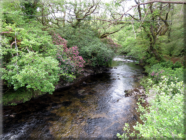 foto Parco di Killarney